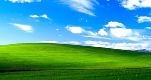 Исходный код Windows XP вероятно слили в сеть