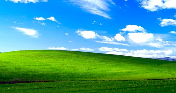 Исходный код Windows XP вероятно слили в сеть
